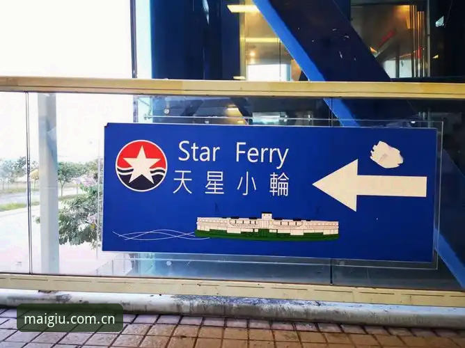 揭秘：35岁的他，用16年流浪，换回一张回家的船票